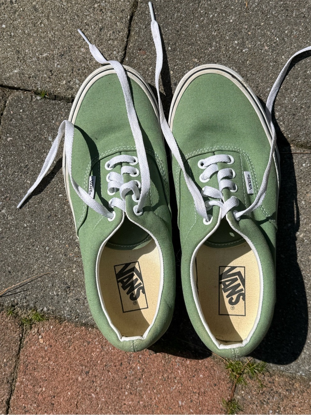 Vans Low-Top Canvas Sneakers in Sage Green with White Accents